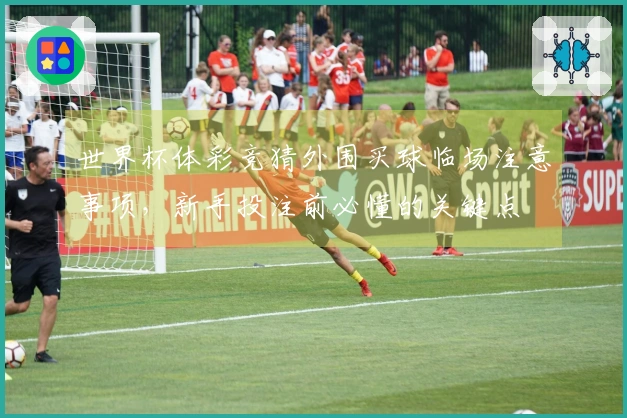 世界杯体彩竞猜外围买球临场注意事项，新手投注前必懂的关键点