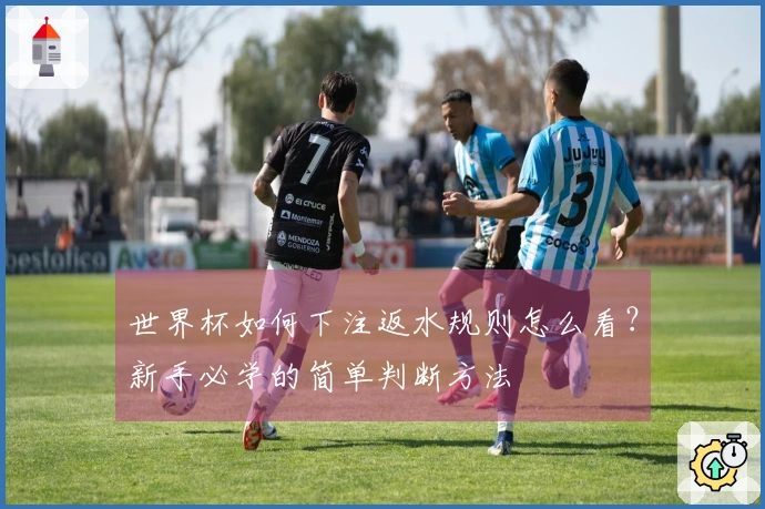 世界杯如何下注返水规则怎么看？新手必学的简单判断方法