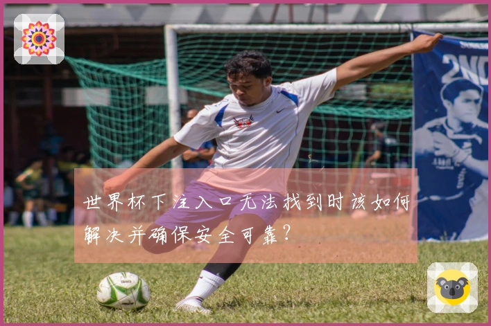 世界杯下注入口无法找到时该如何解决并确保安全可靠?