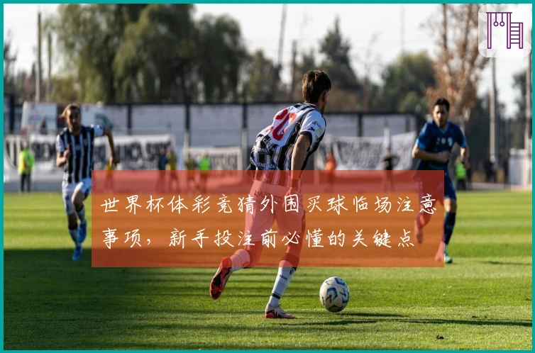 世界杯体彩竞猜外围买球临场注意事项，新手投注前必懂的关键点